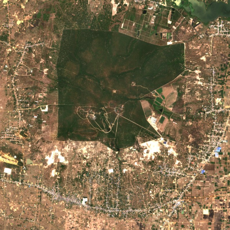 Phnom Tamao, February 2021: a dark block of protected forest among fields and villages