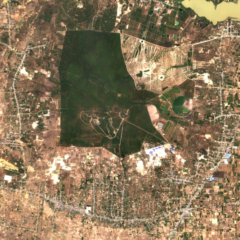 March 2023: the forest's north-east corner is bare, bulldozed ground